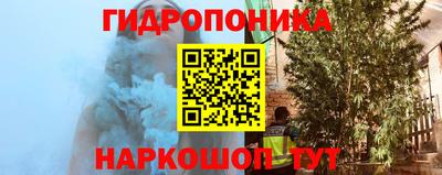 стаф Абакан