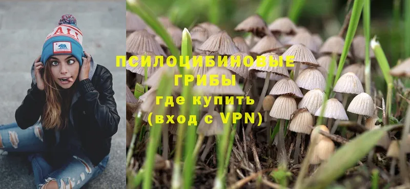 Галлюциногенные грибы Psilocybe  omg tor  Лангепас 