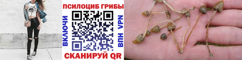 Галлюциногенные грибы GOLDEN TEACHER  купить  сайты  Лангепас 