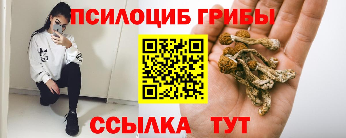 Галлюциногенные грибы прущие грибы  Вход с VPN  Лангепас 